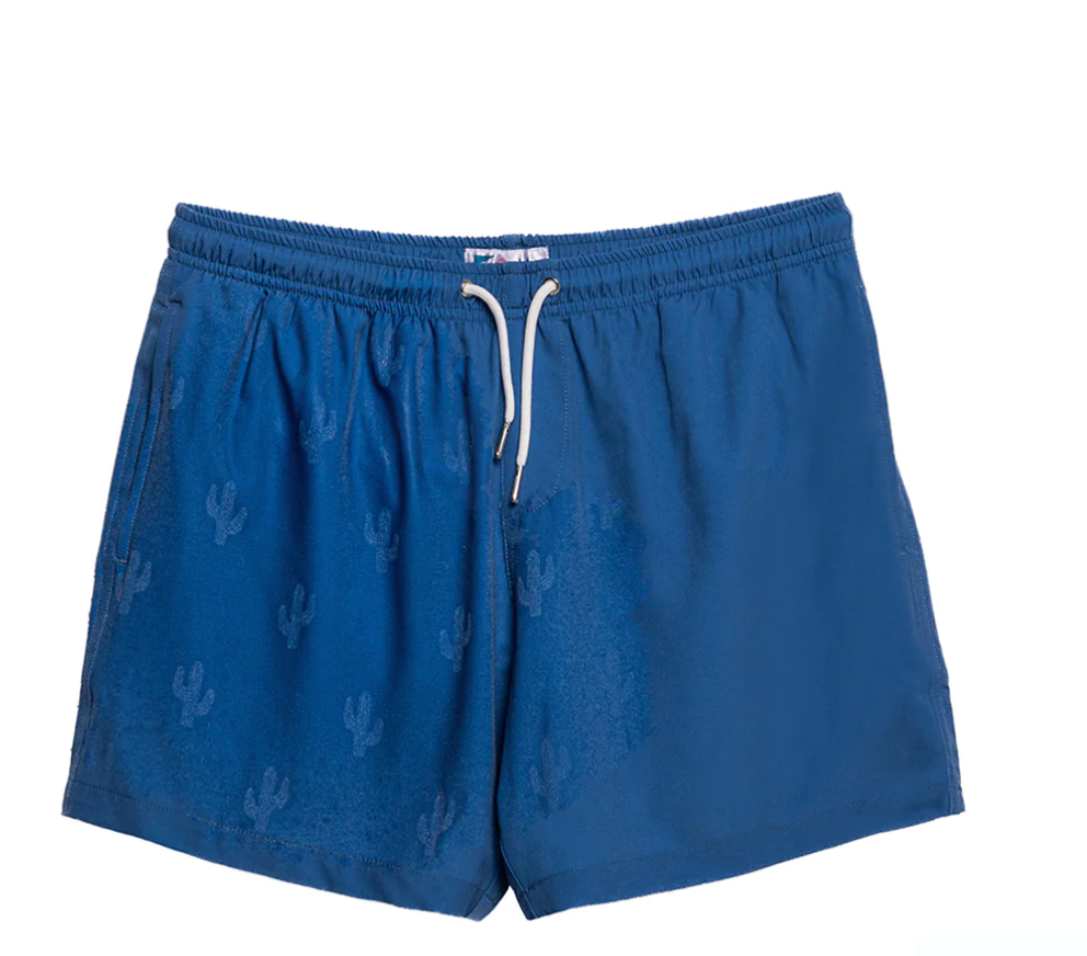 Navy to Cactus Swim Trunks