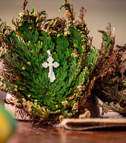 Rose of Jericho Plant