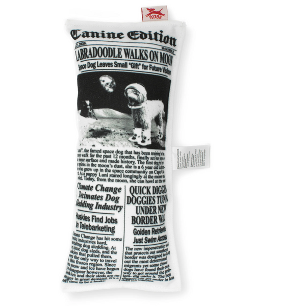 Doggy Fake News Toy