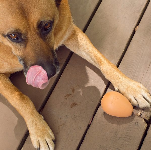 Bouncy Egg Treat Ball