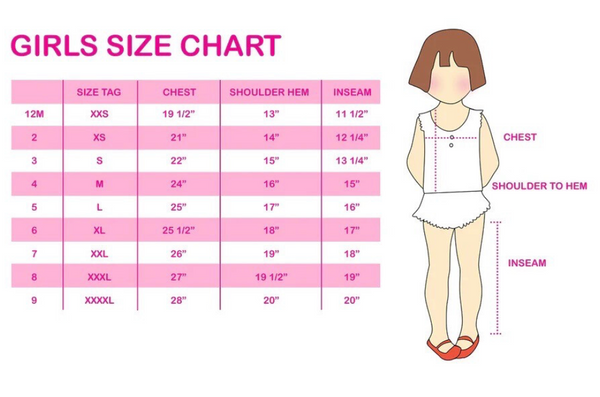 Girls Smocked Flamingo Shorts/Top Set