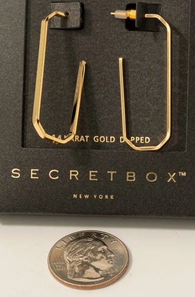 Gold Long Octagon Earrings