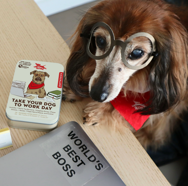 Take Your Dog to Work Day