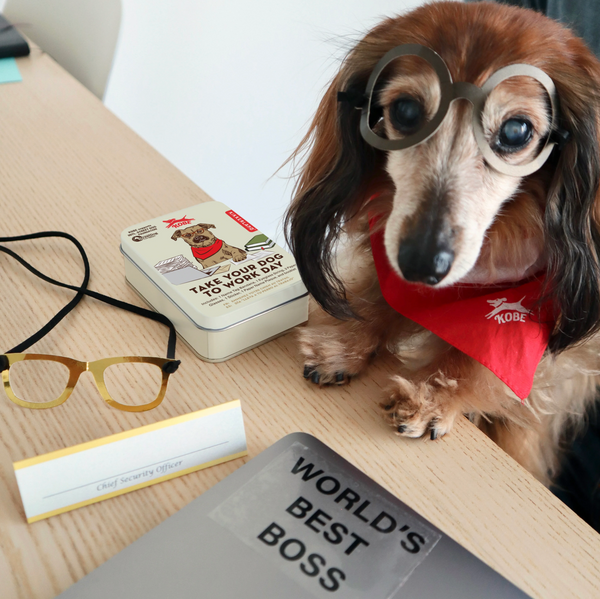 Take Your Dog to Work Day