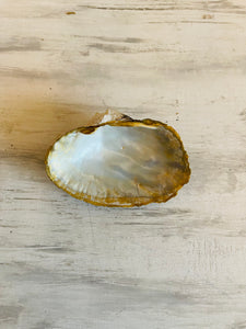 Small Natural Pearl shell dish